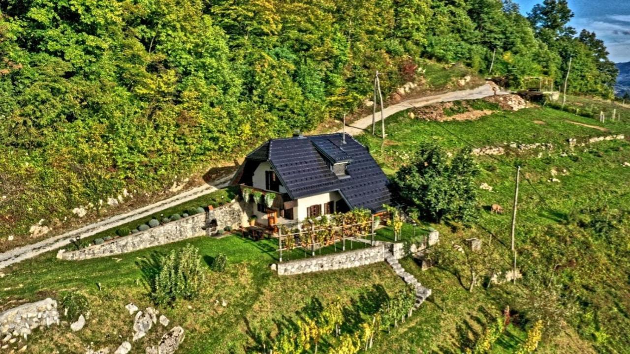 Vineyard Cottage Podrzaj Otocec Bagian luar foto