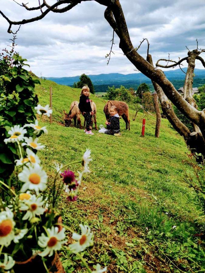 Vineyard Cottage Podrzaj Otocec Bagian luar foto