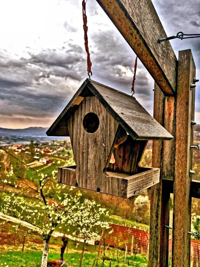 Vineyard Cottage Podrzaj Otocec Bagian luar foto